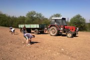 2012-05-01-423.jpg